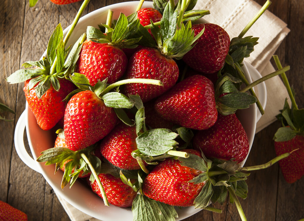 last wenkbrauw Vergemakkelijken Aardbeien kweken | zelf aardbeien zaaien en oogsten! Tips!