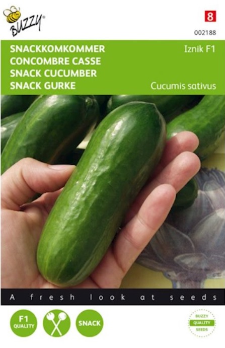 Bestudeer censuur Tien jaar Mini komkommerzaden kopen? Gratis verzending v.a. 20 euro!